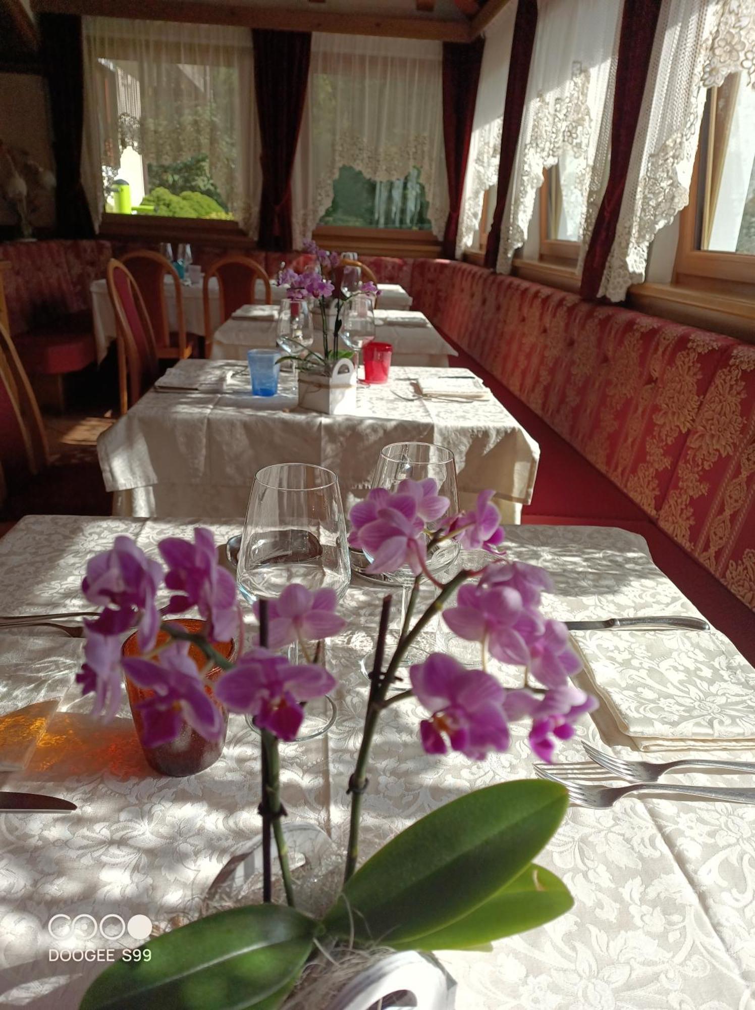 Park Hotel Arnica Falcade Extérieur photo